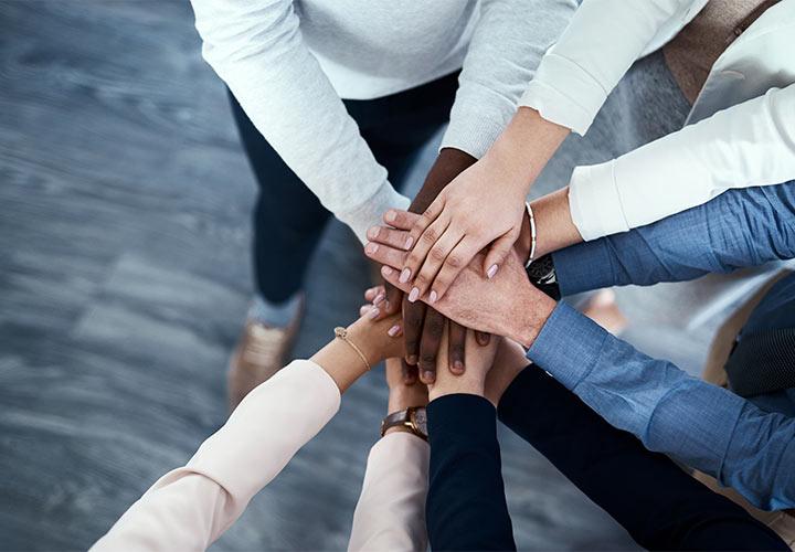 Les valeurs et engagement de Fortal group